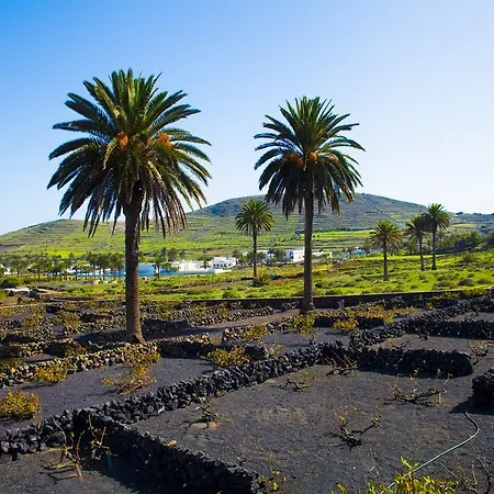 El Palmeral De Aganada * Haría