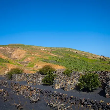 El Palmeral De Aganada Lantställe Haría